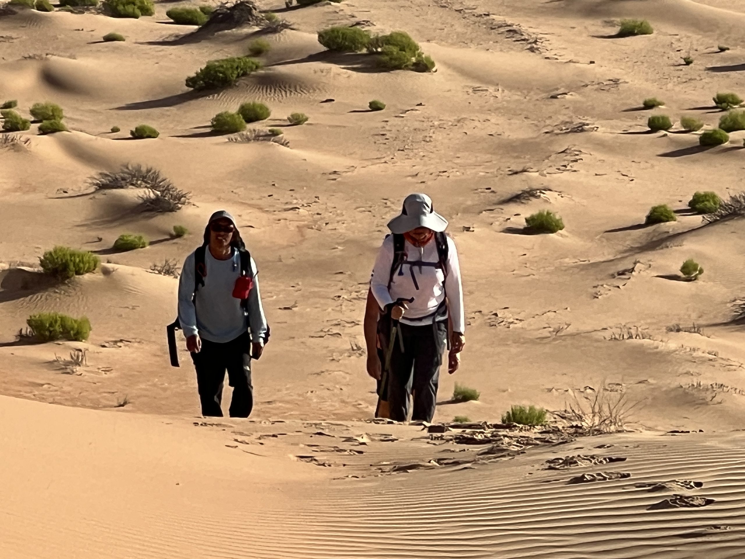 Two Hikers in desert